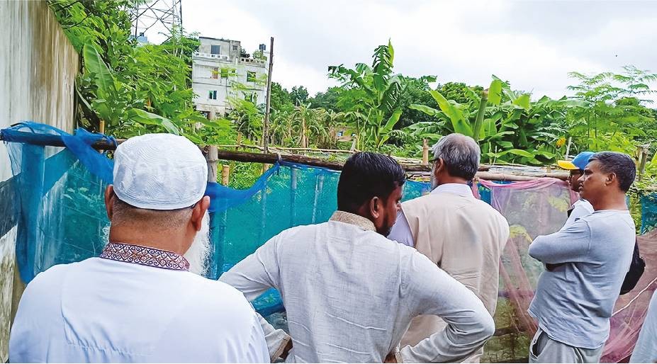 Image of মো: জোবায়ের বেপারী